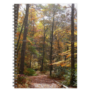 Sunlit Fall Trail in Laurel Backe State Park Anteckningsbok