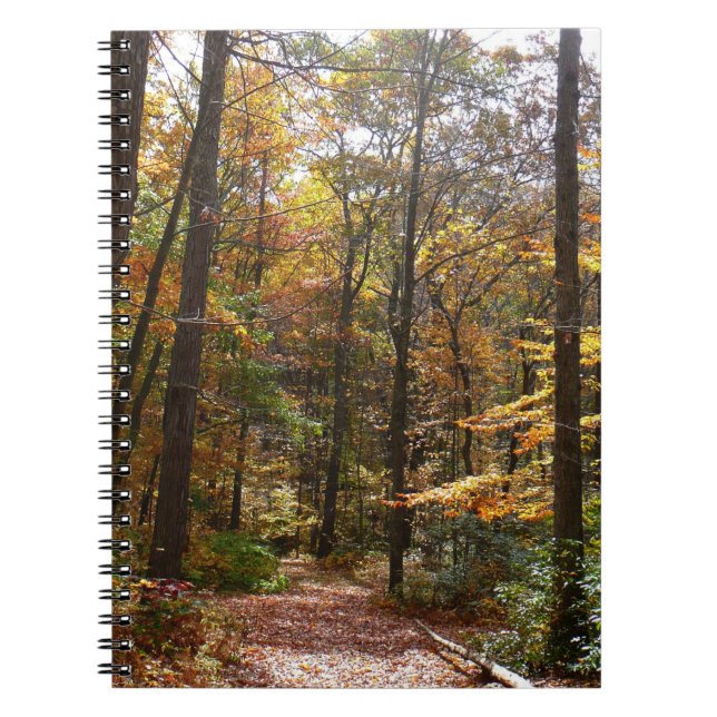 Sunlit Fall Trail in Laurel Backe State Park Anteckningsbok (Framsidan)
