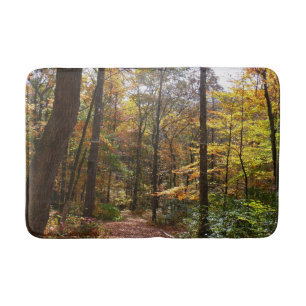 Sunlit Fall Trail in Laurel Backe State Park Badrumsmatta