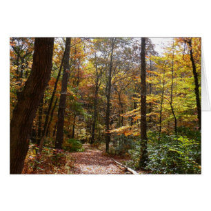 Sunlit Fall Trail in Laurel Backe State Park Hälsningskort