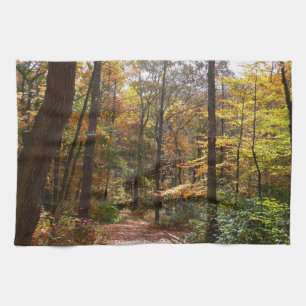 Sunlit Fall Trail in Laurel Backe State Park Kökshandduk