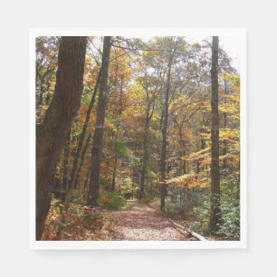 Sunlit Fall Trail in Laurel Backe State Park Pappersservett