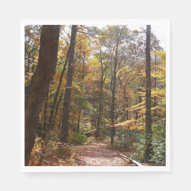 Sunlit Fall Trail in Laurel Backe State Park Pappersservett (Framsidan)