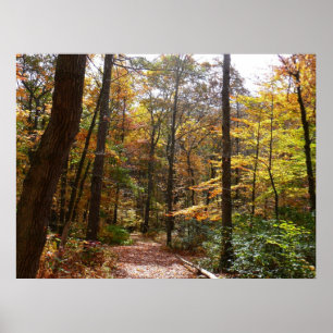 Sunlit Fall Trail in Laurel Backe State Park Poster