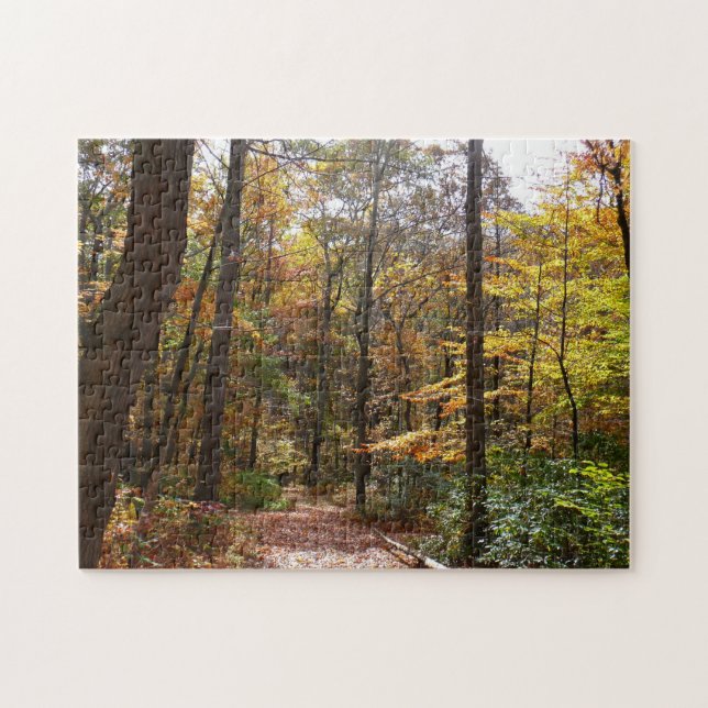 Sunlit Fall Trail in Laurel Backe State Park Pussel (Horisontell)