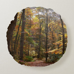 Sunlit Fall Trail in Laurel Backe State Park Rund Kudde