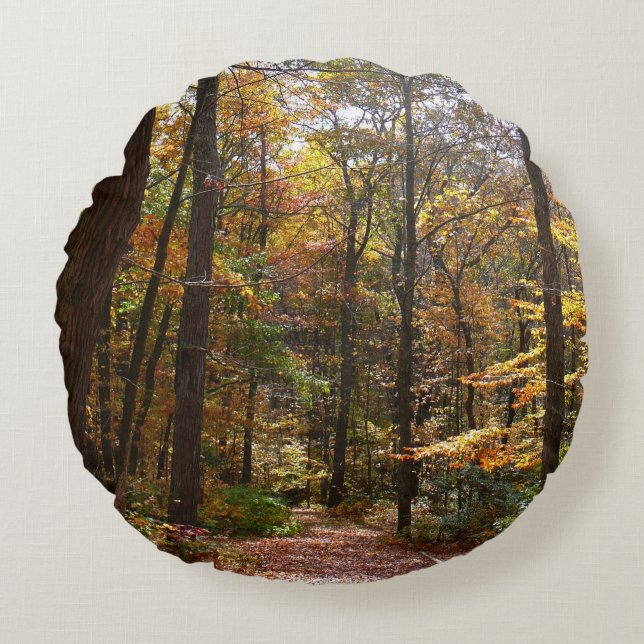 Sunlit Fall Trail in Laurel Backe State Park Rund Kudde (Framsidan)