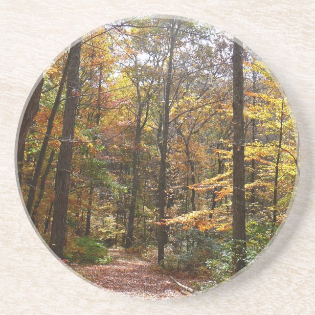 Sunlit Fall Trail in Laurel Backe State Park Underlägg (Framsidan)