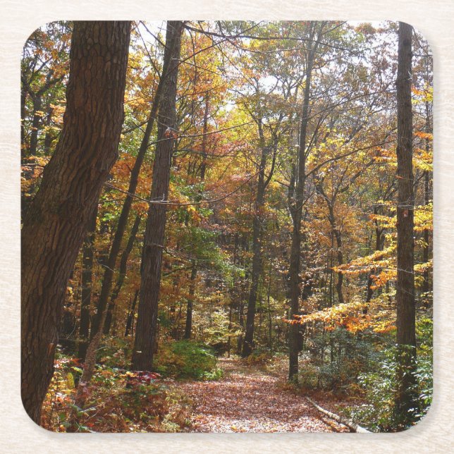 Sunlit Fall Trail in Laurel Backe State Park Underlägg Papper Kvadrat (Framsidan)
