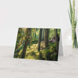 Sunlit Forest Greeting Card (tomt) Kort