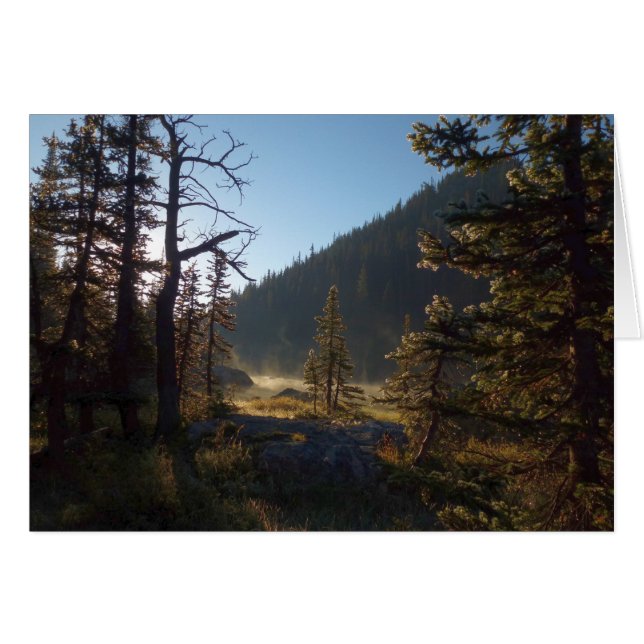 Sunlit Frosted Gräs Träd vid Dream Sjö Hälsningskort (Framsidan Horizontal)