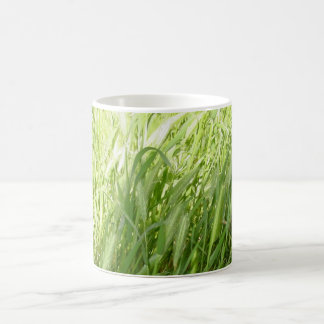 Sunlit gräs kaffemugg