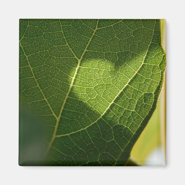 Sunlit Leaf Heart Magnet (Framsidan)