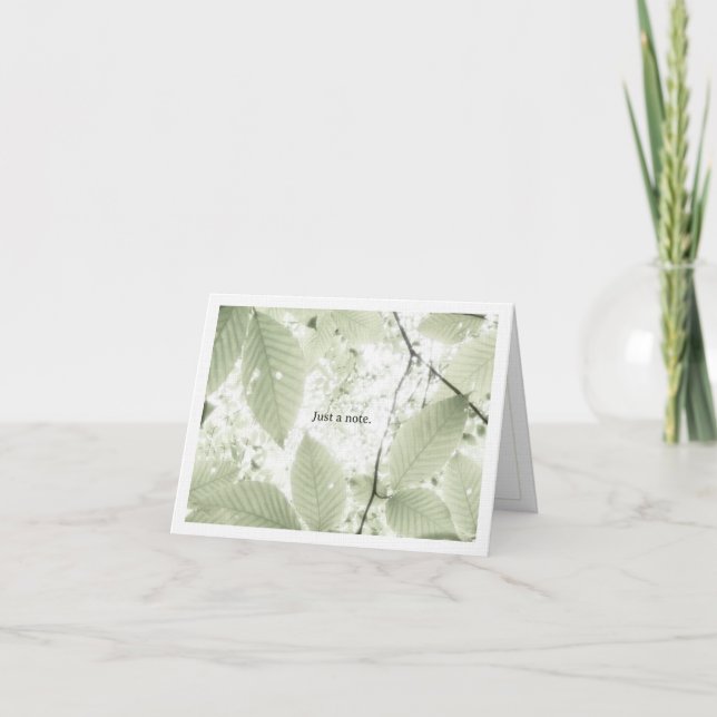 Sunlit leaves in New Hampshire (horizontal) Tack Kort (Framsida)