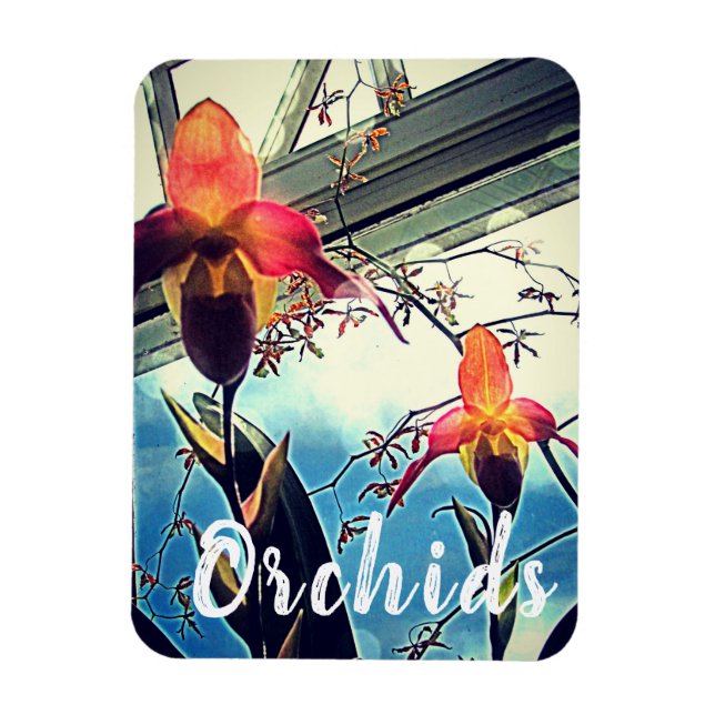 Sunlit Orchids Photo Magnet (Vertikal)