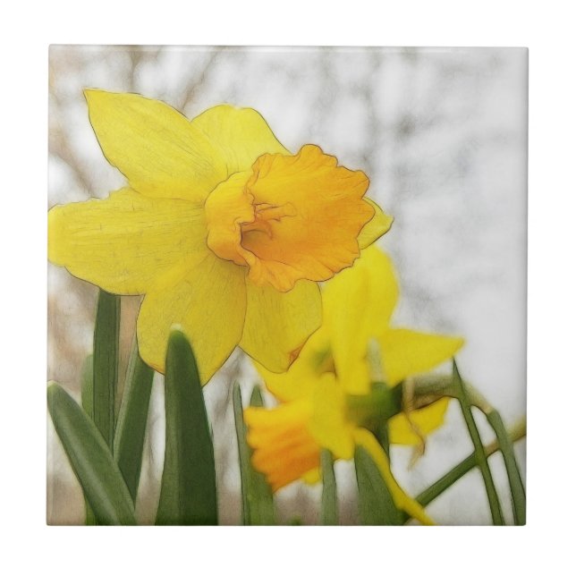 Sunlit påskliljar kakelplatta (Framsidan)