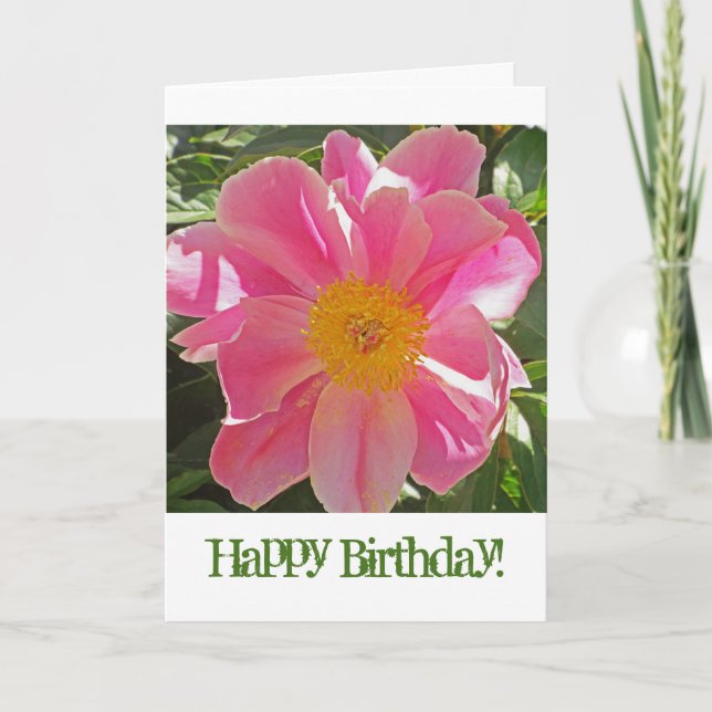 SUNLIT ROSA ROSELETTE PEONY/ BIRTHDAY CARD KORT (Framsida)
