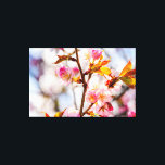 Sunlit Rosa Sakura Flowers. Körsbärs-Blommar Canvastryck<br><div class="desc">En närbild av ett solupplyst kluster av färska, rosa sakura blommor och knoppar på en träd-twig. Lila, blå, vit, mjuk rosa av grumliga blommar av himlar och körsbär. En extra-stor digital målning från ett foto. blommigten i fantastisk sträckte ut kanvastrycket för att dekorera ställe eller för att användas som gåva...</div>