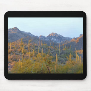 Sunlit Saguaro Fält Musmatta