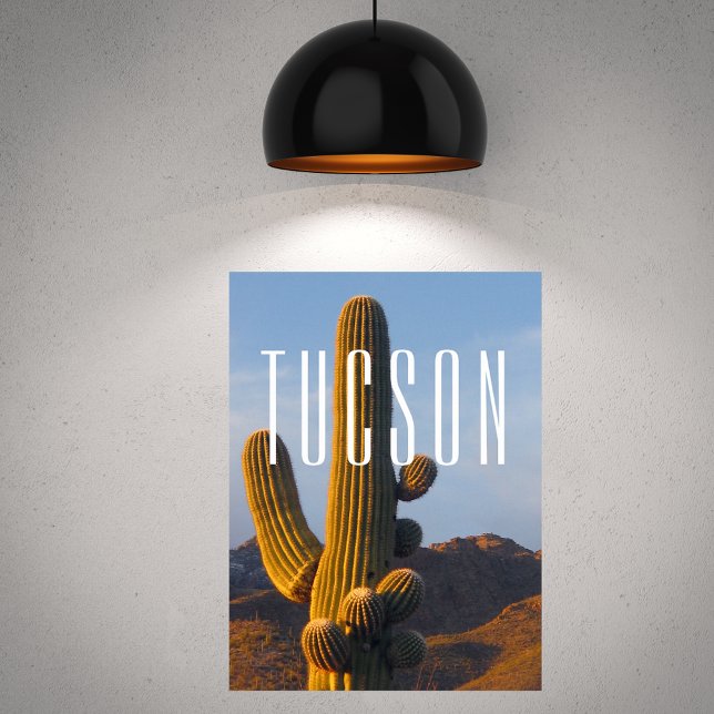 Sunlit Saguaro Tucson Scene Poster (Skapare uppladdad)
