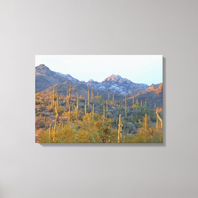 Sunlit Saguaros i Winter Wrapped Canvas (Framsida)