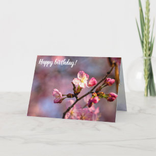 Sunlit Sakura Flowers and Busks on a Sweet Day Kort