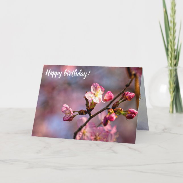 Sunlit Sakura Flowers and Busks on a Sweet Day Kort (Framsida)