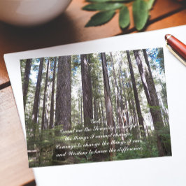 Sunlit-skog med inspirationserenity Prayer Vykort