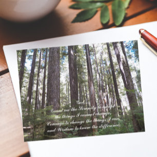 Sunlit-skog med inspirationserenity Prayer Vykort