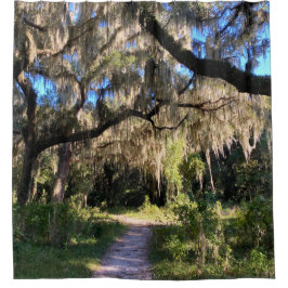 Sunlit Spanish Moss