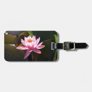 Sunlit Waterlily Rosa Blommigt Vatten Garden Bagagebricka