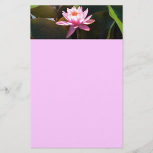 Sunlit Waterlily Rosa Blommigt Vatten Garden Brevpapper