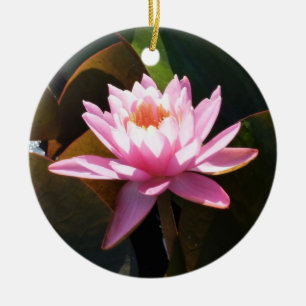 Sunlit Waterlily Rosa Blommigt Vatten Garden Julgransprydnad Keramik