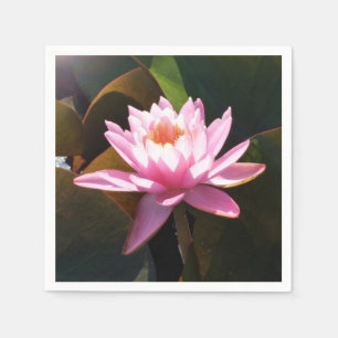 Sunlit Waterlily Rosa Blommigt Vatten Garden Pappersservett