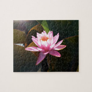 Sunlit Waterlily Rosa Blommigt Vatten Garden Pussel