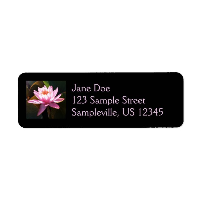 Sunlit Waterlily Rosa Blommigt Vatten Garden Returadress Etikett (Framsidan)