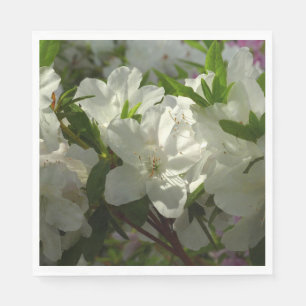 Sunlit White Azaleas BeSnya Vår blommor Pappersservett