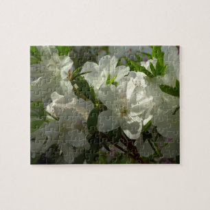 Sunlit White Azaleas BeSnya Vår blommor Pussel