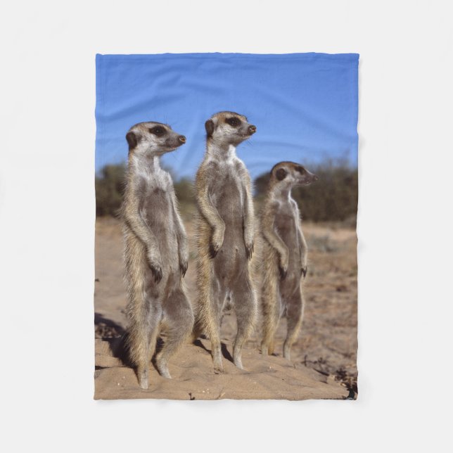 Sunning av den Meerkats ullfilten Fleecefilt (Framsidan)