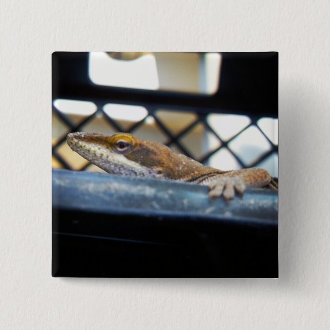 Sunning Grönt Anole Lizard Photo Knapp (Framsida)