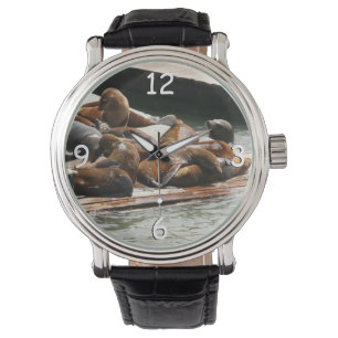 Sunning Sea Lejon i San Francisco Armbandsur