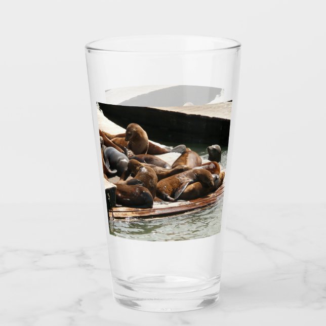 Sunning Sea Lejon i San Francisco Glaskopp (Framsida)