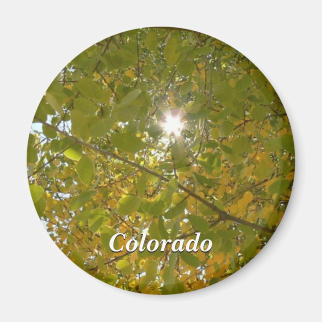 Sunny Aspen Magnet (Framsidan)