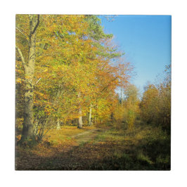 Sunny Autumn Walk - Personlig Ceramic Kakelplatta