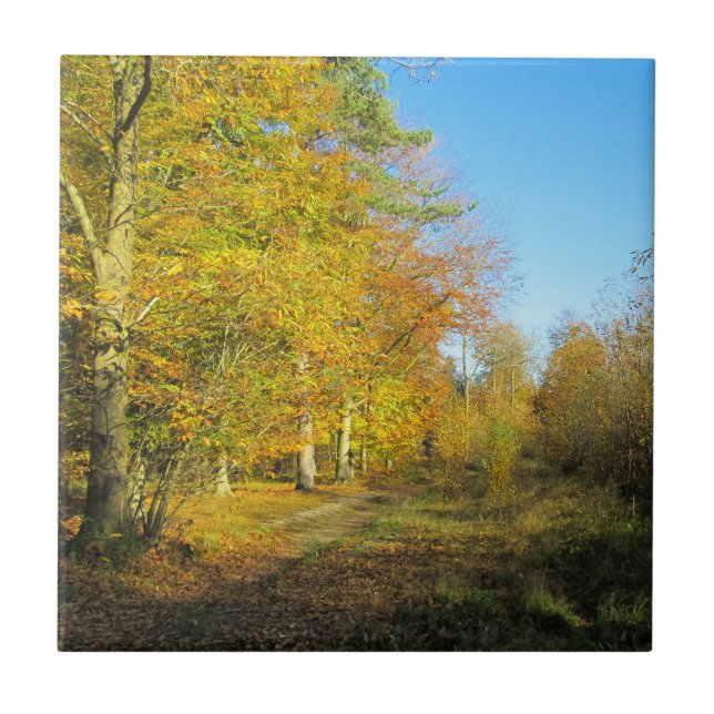 Sunny Autumn Walk - Personlig Ceramic Kakelplatta (Framsidan)