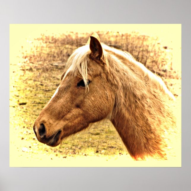 Sunny Blonde och Brown Horse Animal Poster (Framsidan)