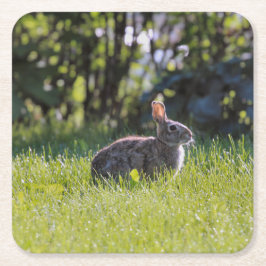 Sunny Bunny Underlägg Papper Kvadrat