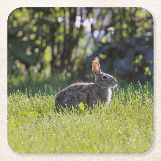 Sunny Bunny Underlägg Papper Kvadrat (Framsidan)