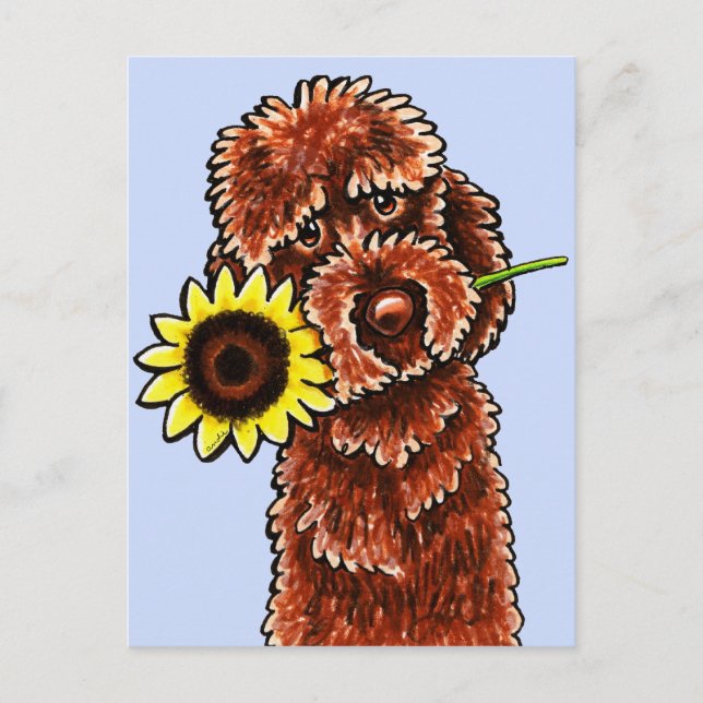 Sunny Chocolate Labradoodle off-Leash Art™ Vykort (Framsida)