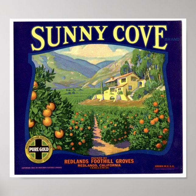 Sunny Cove Brand Redland Foothill Groves Etikett Poster (Framsidan)